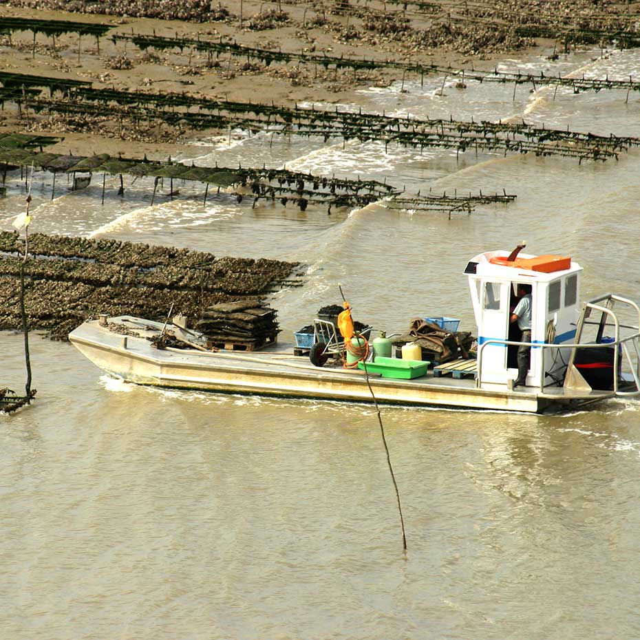 séjour en Charente Maritime - locations de gîtes Saujon proche de Royan Saintes Rochefort