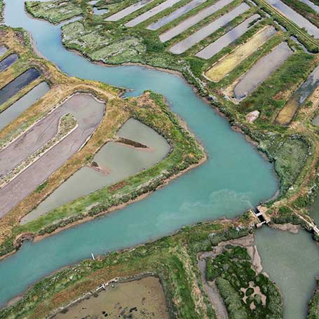 séjour en Charente Maritime - locations de gîtes Saujon proche de Royan Saintes Rochefort